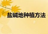 盐碱地种植方法（盐碱地种植方法介绍）