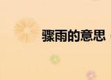骤雨的意思（骤雨的读音解释）