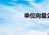 单位向量公式（单位向量）