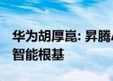 华为胡厚崑: 昇腾AI为千行百业转型升级构筑智能根基