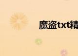 魔盗txt精校版（魔盗txt）