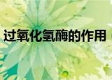 过氧化氢酶的作用（过氧化氢酶有什么作用）