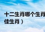 十二生肖哪个生肖笑里藏刀（笑里藏刀打一最佳生肖）