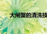 大闸蟹的清洗技巧（如何清洗大闸蟹）