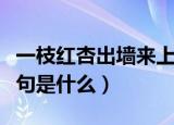 一枝红杏出墙来上一句（一枝红杏出墙来上一句是什么）