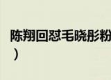 陈翔回怼毛晓彤粉丝一（陈翔回怼毛晓彤粉丝）