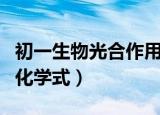 初一生物光合作用公式（初一生物光合作用的化学式）