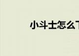 小斗士怎么下载（小斗士密码）
