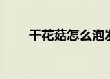 干花菇怎么泡发（干花菇如何泡发）