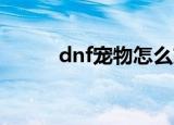 dnf宠物怎么交易（怎么卖宠物）
