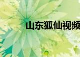 山东狐仙视频（山东千年小狐仙）