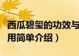 西瓜碧玺的功效与作用（西瓜碧玺的功效与作用简单介绍）