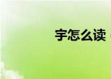 宇怎么读（宇的读音解释）