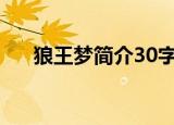 狼王梦简介30字（关于狼王梦的简介）