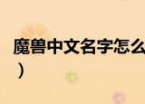 魔兽中文名字怎么设置（魔兽怎么改中文名字）