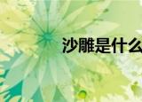 沙雕是什么梗（沙雕的释义）