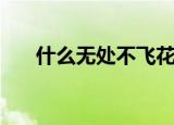 什么无处不飞花（无处不飞花上一句）