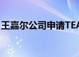 王嘉尔公司申请TEAM WANG DESIGN商标