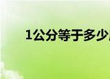 1公分等于多少厘米（是怎么转换的）