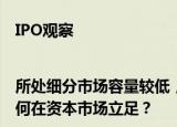 IPO观察|所处细分市场容量较低，市占率仅为0.89%，波长光电该如何在资本市场立足？