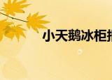 小天鹅冰柜报价（小天鹅冰柜）