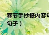 春节手抄报内容句子30字（春节手抄报内容句子）