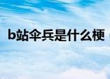 b站伞兵是什么梗（关于b站伞兵是什么梗）