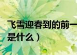 飞雪迎春到的前一句是（飞雪迎春到的前一句是什么）