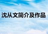 沈从文简介及作品（沈从文简介及作品讲解）