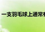 一支羽毛球上通常有几根羽毛（羽毛球介绍）