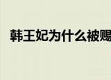 韩王妃为什么被赐死（韩王妃电视剧介绍）