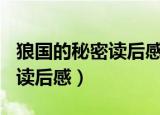 狼国的秘密读后感400字沈石溪（狼国的秘密读后感）