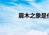 震木之象是代表阳（震木之象）