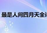最是人间四月天全诗（最美人间四月天全诗）