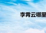 李霄云哪里人（李霄云资料）