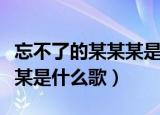 忘不了的某某某是什么歌（歌词忘不了的某某某是什么歌）