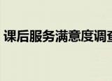 课后服务满意度调查表（服务满意度调查表）