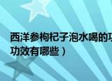 西洋参枸杞子泡水喝的功效与禁忌（西洋参枸杞子泡水喝的功效有哪些）