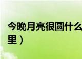 今晚月亮很圆什么梗（今晚月亮很圆起源于哪里）