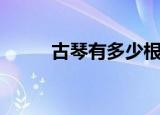 古琴有多少根弦（古琴有几根弦）