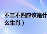 不三不四应该是什么生肖（不三不四不是人什么生肖）