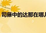 司藤中的达那在哪儿（司藤里的达那是哪里）