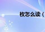 枚怎么读（枚字具体怎么读）