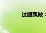 过眼飘散 本兮（过眼飘散）