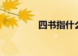 四书指什么（四书是什么）