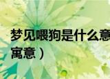 梦见喂狗是什么意思（梦见喂狗是什么意思和寓意）
