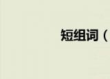 短组词（短读音及解释）