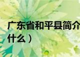 广东省和平县简介（广东省和平县简介内容是什么）