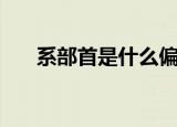 系部首是什么偏旁（系部首是啥偏旁）
