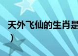 天外飞仙的生肖是什么（天外飞仙是什么生肖）